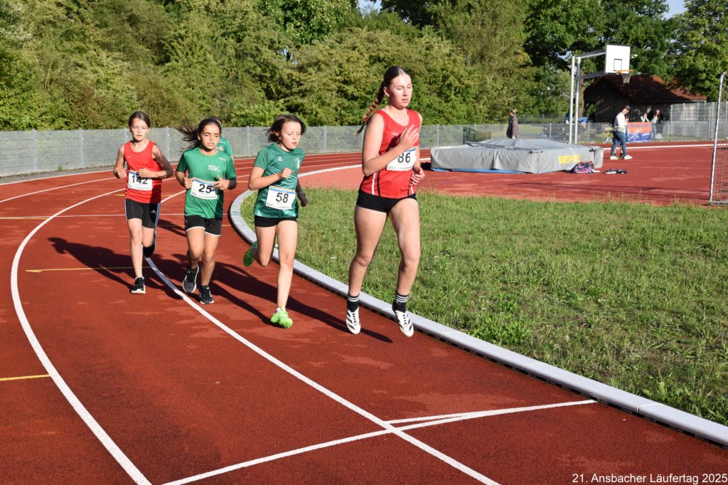 photo201.jpg