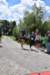 photo177_small.jpg