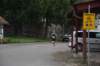 photo327_small.jpg