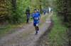 photo337_small.jpg