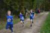 photo393_small.jpg