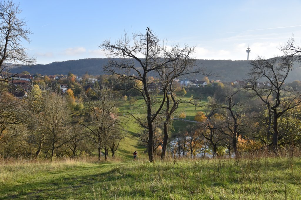 photo.jpg
