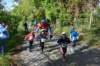 photo100_small.jpg
