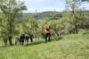photo400_small.jpg