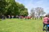 photo950_small.jpg