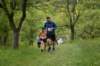 photo184_small.jpg