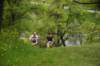 photo323_small.jpg