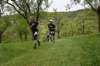 photo361_small.jpg