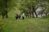 photo429_small.jpg