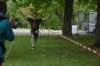photo478_small.jpg