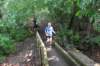 photo374_small.jpg