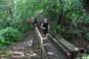 photo380_small.jpg