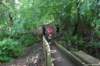photo386_small.jpg