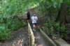photo399_small.jpg
