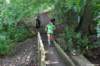 photo434_small.jpg