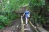 photo458_small.jpg