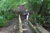 photo461_small.jpg