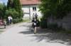 photo313_small.jpg