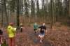 photo310_small.jpg