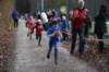 photo663_small.jpg