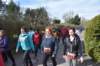 photo393_small.jpg