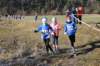 photo126_small.jpg