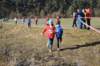 photo127_small.jpg