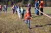 photo136_small.jpg