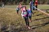 photo140_small.jpg