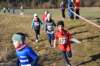 photo142_small.jpg