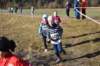 photo143_small.jpg