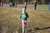 photo146_small.jpg