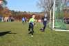 photo37_small.jpg