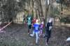 photo426_small.jpg