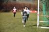 photo507_small.jpg