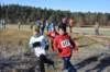 photo71_small.jpg