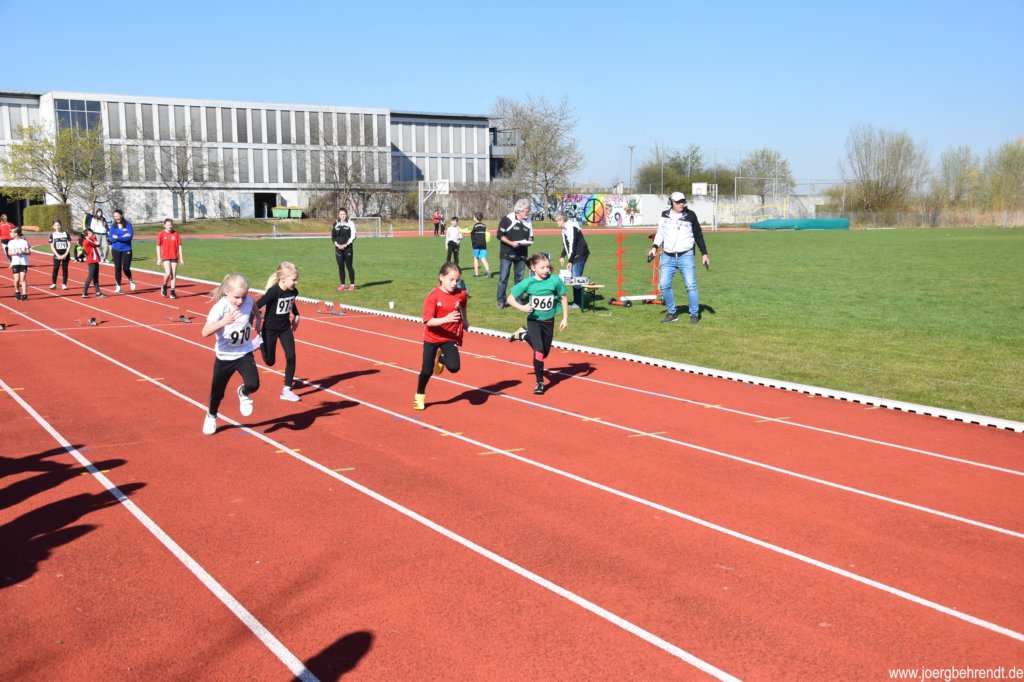 photo11.jpg