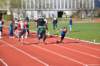 photo31_small.jpg
