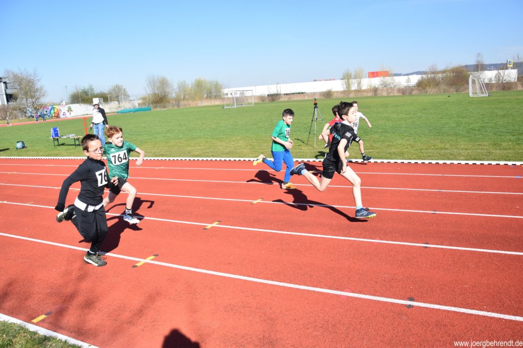 photo44.jpg
