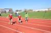 photo49_small.jpg