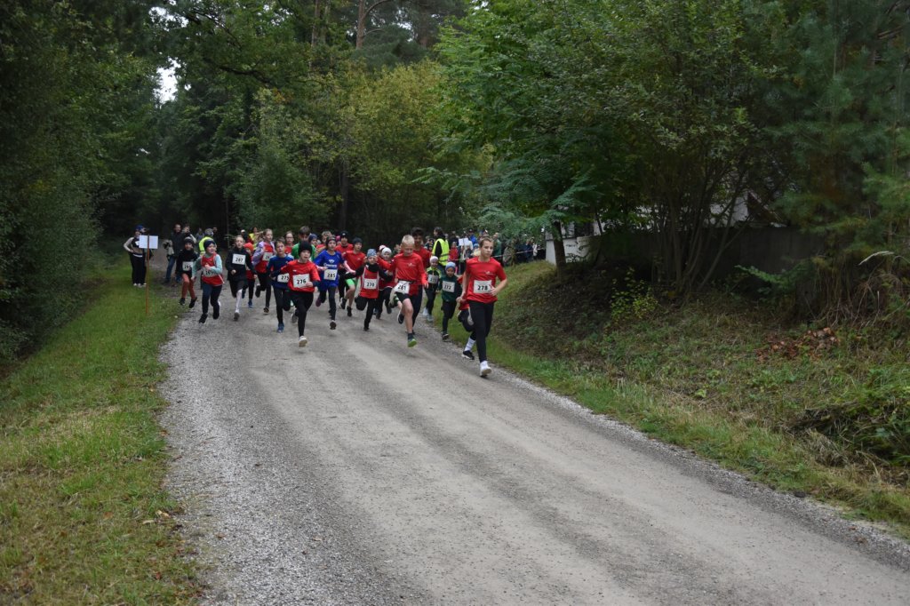 photo13.jpg