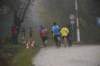photo336_small.jpg