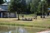 photo959_small.jpg