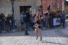 photo665_small.jpg