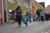 photo237_small.jpg