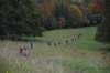 photo618_small.jpg