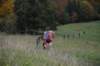 photo619_small.jpg