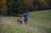 photo630_small.jpg