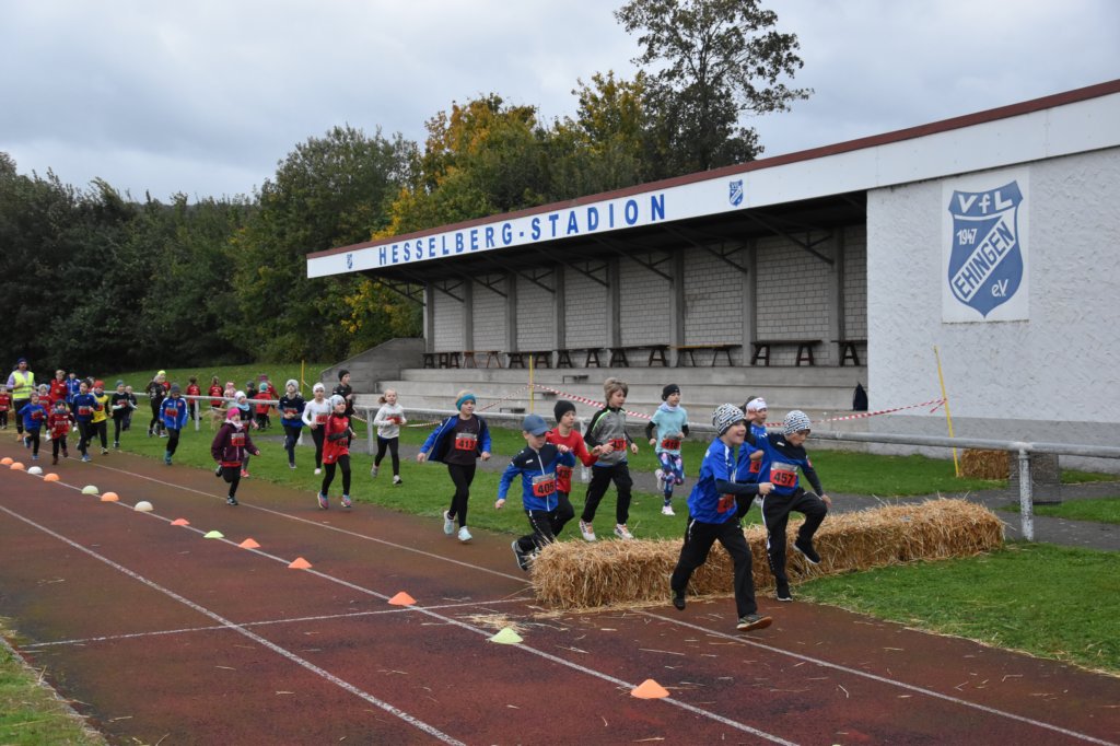 photo17.jpg