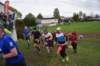 photo317_small.jpg